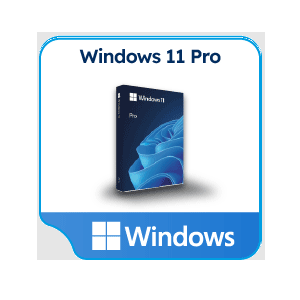 Windows Pro 11